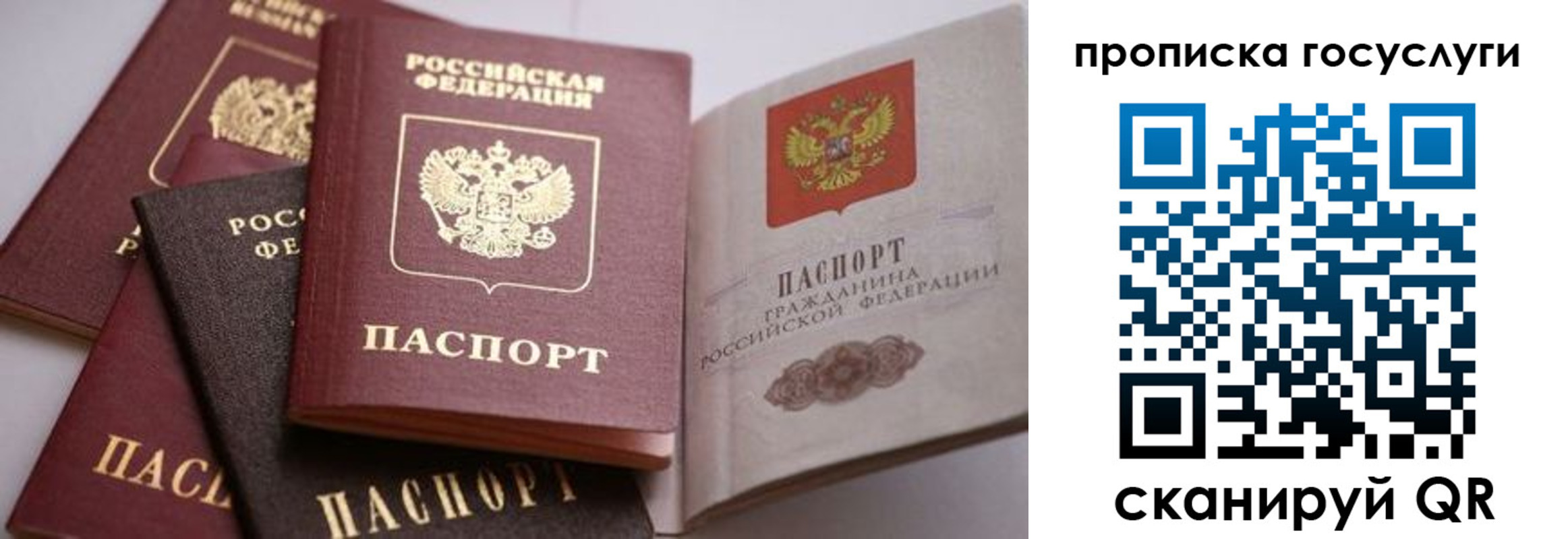 прописка иностранных граждан в Зеленогорске