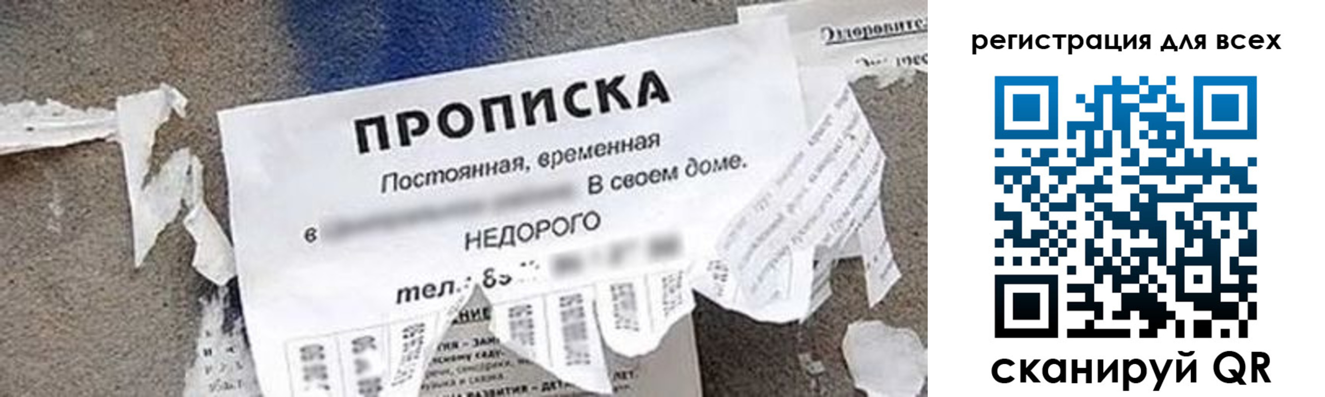 прописка поиск в Зеленогорске
